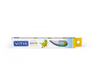 Vitis junior
