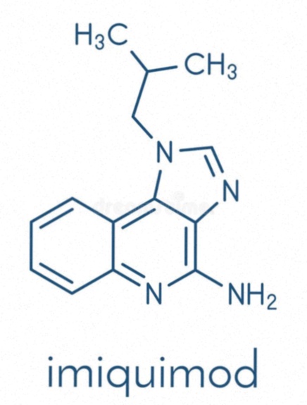 imiquimod crema
