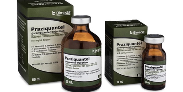 praziquantel