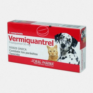 praziquantel