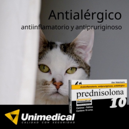 prednisolona genérico